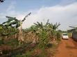 Plot for Sale in Gayaza Nakasajja - 2