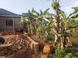Plot for Sale in Gayaza Nakasajja - 3