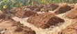 Residential Plot for Sale in Rubaare, Ntungamo - 1