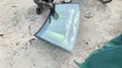 Windscreen for Toyota Corolla - 2