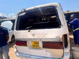 Super Custom Windscreen