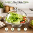 Clear Acrylic Dome Food Cover - 1