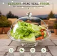 Clear Acrylic Dome Food Cover - 3