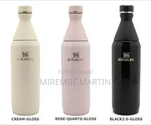 Sleek Stainless Steel All Day Slim Bottle - Multicolor