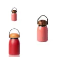 Compact 300ml Insulated Water Bottle with Wooden Lid - 2