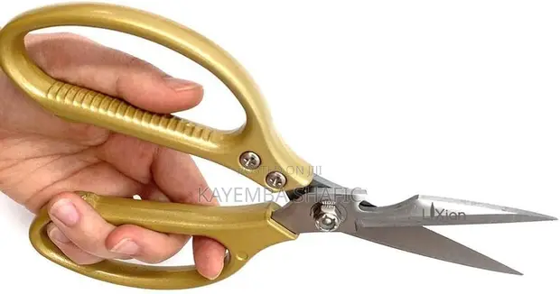 Zhao Sheng Heavy Duty SK5 Stainless Kitchen Scissors - 1