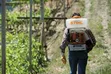 STIHL SR 420 Petrol Mist Blower - Germany Quality - 2