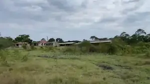 48 Acres Farmland for Sale in Ziroobwe