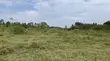 48 Acres Farmland for Sale in Ziroobwe - 4