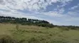 48 Acres Farmland for Sale in Ziroobwe - 5