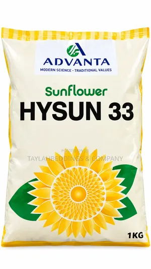 Advanta Hysun 33 Sunflower Seeds - 1 Kg