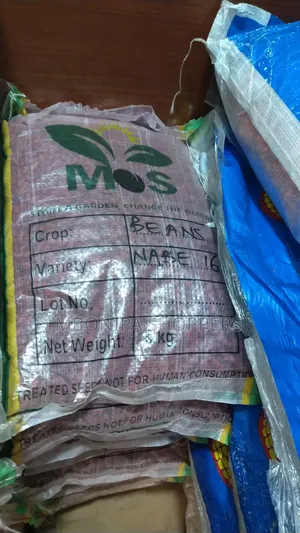 Nambale Beans - Sorted 5kg