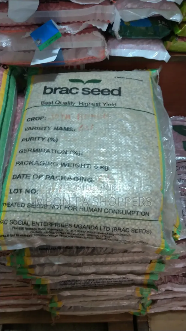 Soyabean Seeds - 5kg - 1