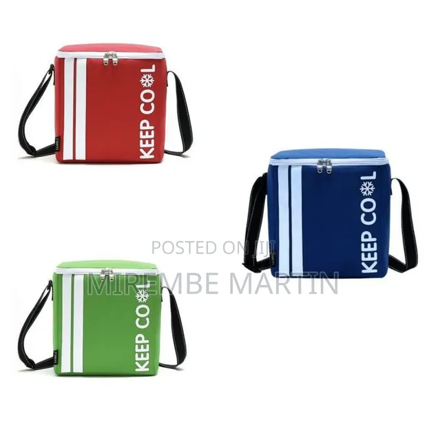 Insulated Portable Cooler Bag with Shoulder Strap - 1
