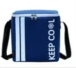 Insulated Portable Cooler Bag with Shoulder Strap - 2