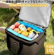 Professional Insulated Portable Cooler Bag - 1