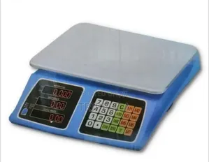 Heavy Duty Digital Price Computing Scale (40kg)
