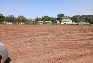 Prime Plots for Sale at Namusera, Wakiso - Divine Land Estate