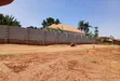 Prime Plots for Sale at Namusera, Wakiso - Divine Land Estate - 2