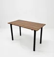Modern Foldable Wooden Table (60x120cm) - 2
