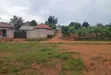 Prime Plots for Sale at Namusera, Wakiso - Tarmac View Divine Land Estate - 1