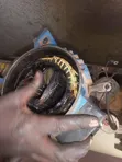 Expert Motor Rewinding & Maintenance - 2