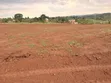 Prime Plots for Sale at Bulondo~Mabombwe, Wakiso - 1