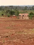 Prime Plots for Sale at Bulondo~Mabombwe, Wakiso - 2