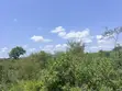 15 Acres Land Near Murchison Falls National Park - 2