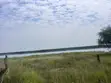 15 Acres Land Near Murchison Falls National Park - 3