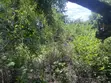 15 Acres Land Near Murchison Falls National Park - 4