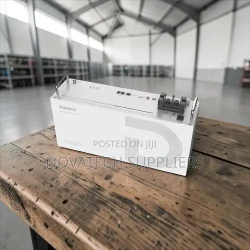 24V Dyness Lithium Battery 100Ah | 2.56kWh | 6000 Cycles - 1