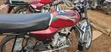 Bajaj Boxer 2023 Red - 5