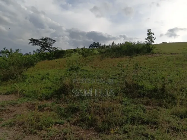 10 Acres Land for Farming in Kabujogyera - 1