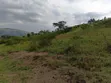 10 Acres Land for Farming in Kabujogyera - 2