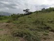10 Acres Land for Farming in Kabujogyera - 3