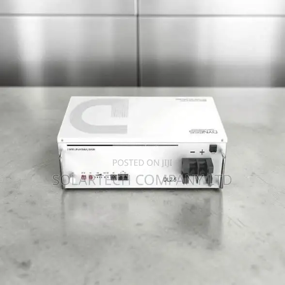 Dyness 2.56kWh 24V Lithium Battery - 6000 Cycles, 7-Year Warranty - 1
