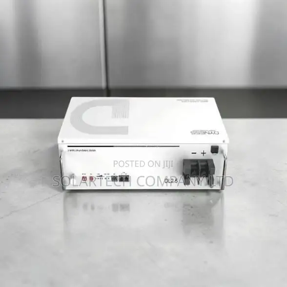 Dyness DL2.5 24V 100Ah LiFePO4 Battery - 6000 Cycles | 7 Year Warranty - 1