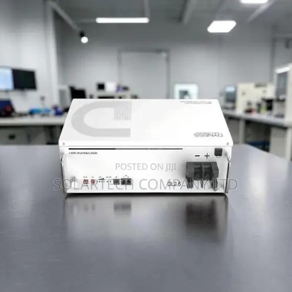 Dyness DL2.5/DL2.5C 2.56kWh 24V 100Ah Lithium Battery - 1