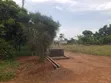 Plot for Sale in Kiwenda Degeya - UGX 12M - 5