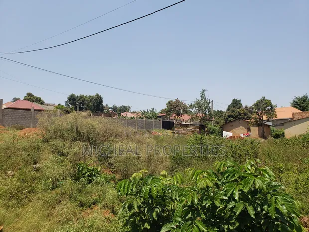 Residential Plot for Sale in Mpelerwe - 1