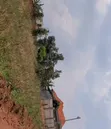 Titled Plot for Sale in Namulonge - 1