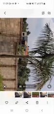 Titled Plot for Sale in Namulonge - 3