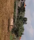 Titled Plot for Sale in Namulonge - 4