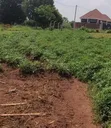 Titled Plots for Sale in Gayaza Dundu - 3
