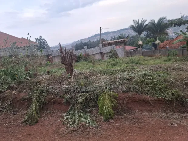 Bunamwaya Ngobe Hill Plot for Sale - 1