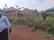 Bunamwaya Ngobe Hill Plot for Sale - 2