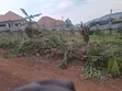Bunamwaya Ngobe Hill Plot for Sale - 3