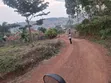 Bunamwaya Ngobe Hill Plot for Sale - 4