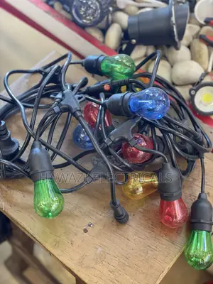 Canopy Light with Multi-Color Bulb Holders